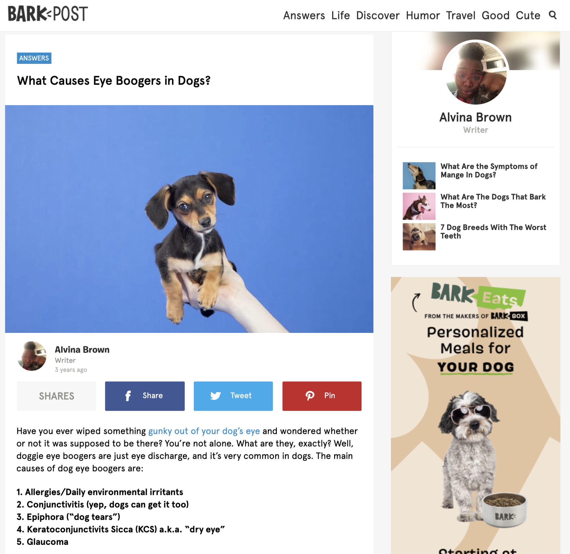 BarkPost blog