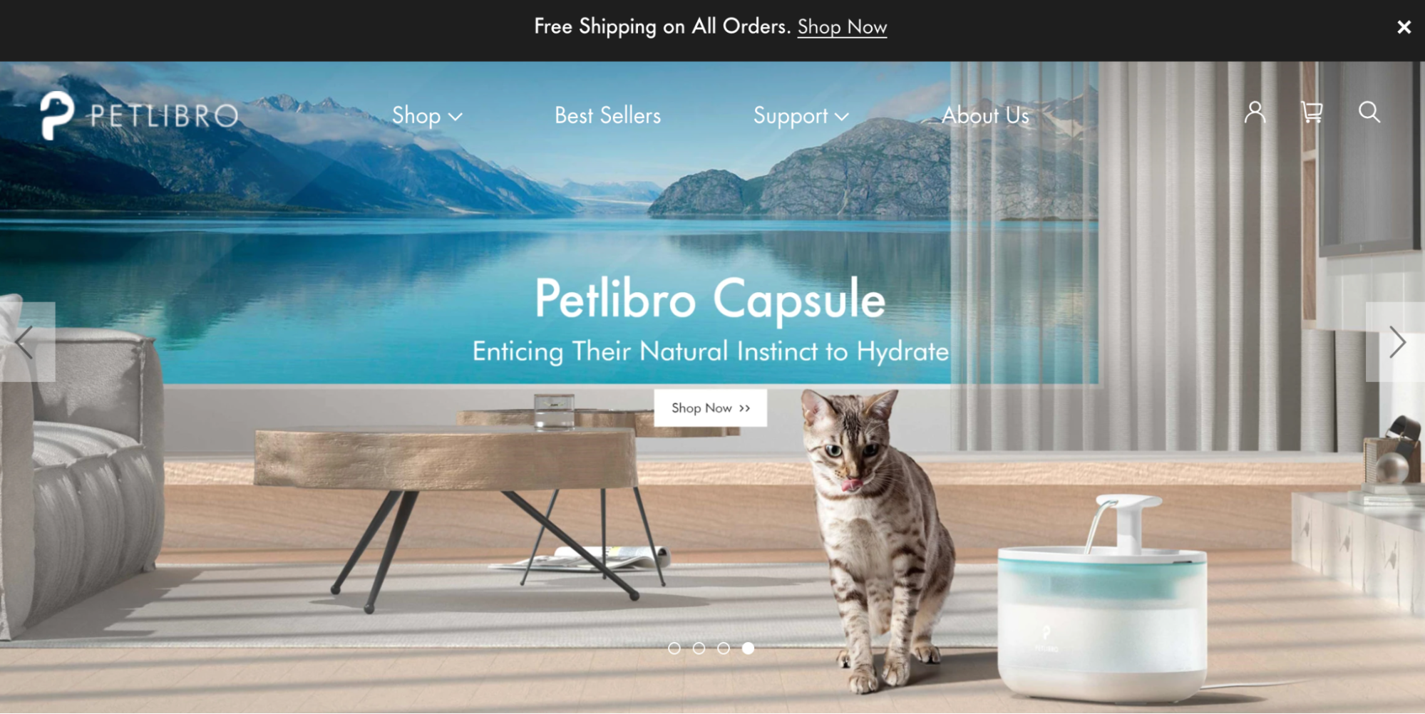 petrlibro pet products business example