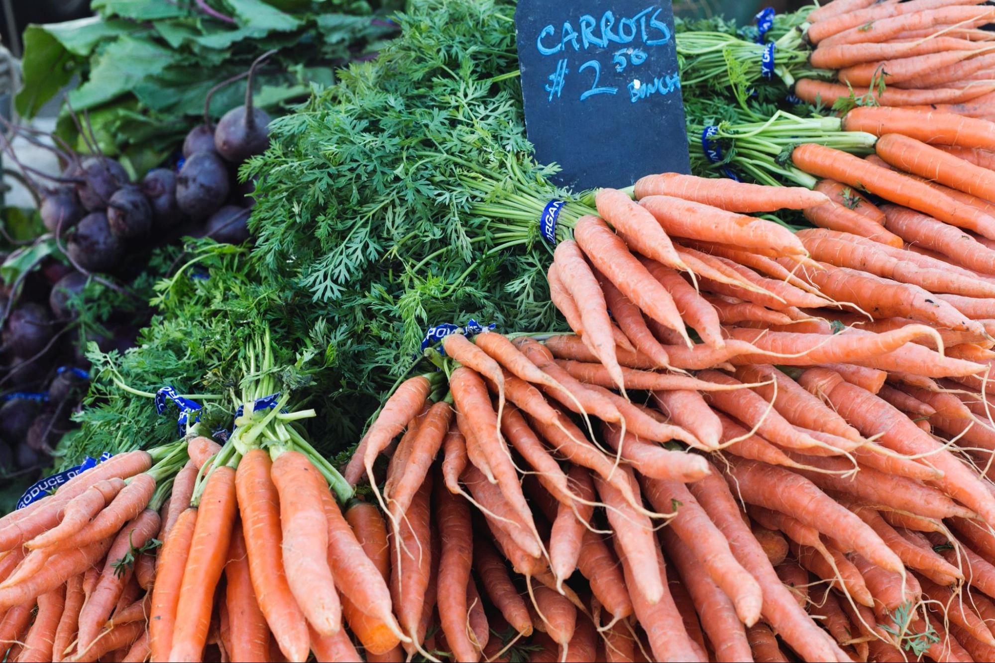 bundles-of-freshly-picked-carrots