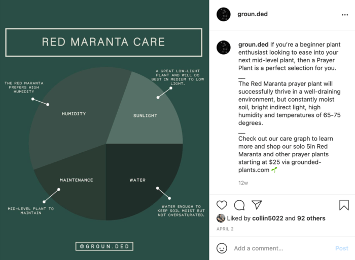Screenshot of a Grounded Instagram post that outlines plant care