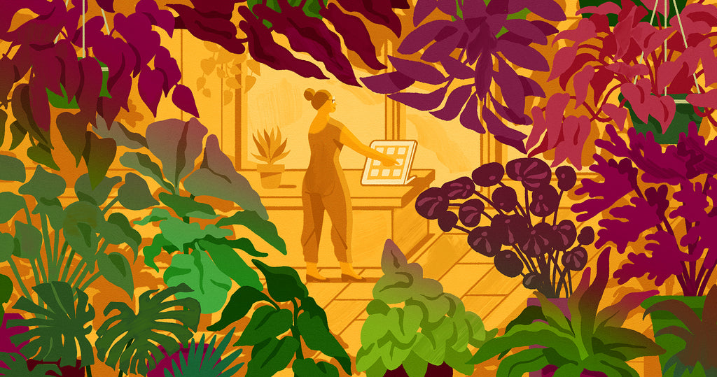 Illustration of a shop owner inside her plant shop framed by a curser to show a merchant selling plants online while owning a plant store