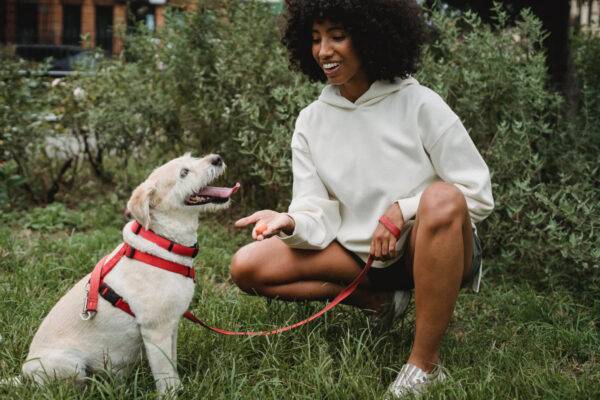 Woman kneels down to pet a dog on a leash