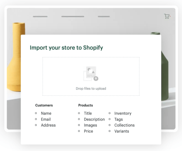 Shopify tool for importing an online store to Shopify