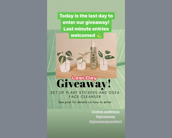 Olive Wellness Instagram Story promoting the last day of its giveaway on a green background.